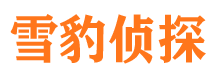 卢龙找人公司